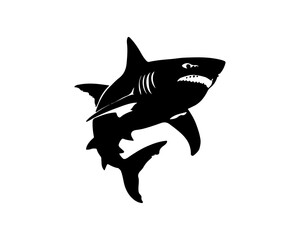 Shark black outline vector illustration. Fish art.