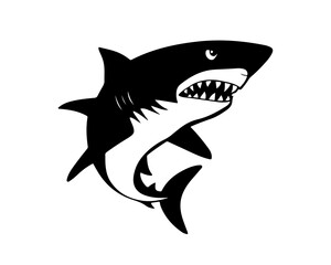 Shark black outline vector illustration. Fish art.