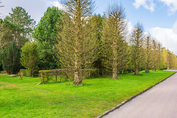 Naklejka premium Bispebjerg Cemetery in Copenhagen, Denmark