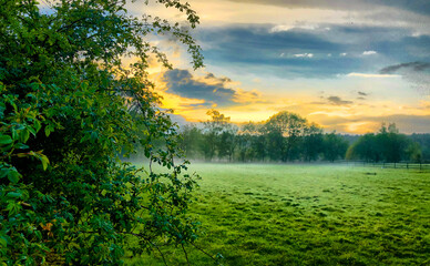 The sunrise is stunning, casting light over the green field, trees, and blue sky in a picturesque natural landscape
