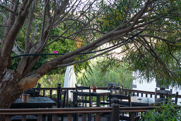 Serene Outdoor Oasis: Betancurias Charming Dining Destination