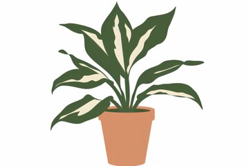 Serene indoor potted plant