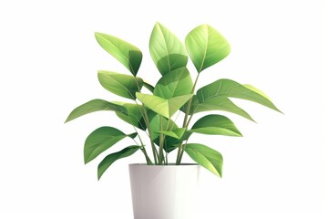 Green potted houseplant isolated on white background