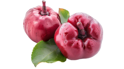 Two red apples resting on a vibrant green leaf