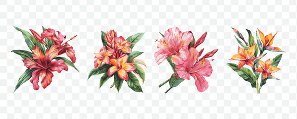 Tropical flower watercolor transparent isolated vector