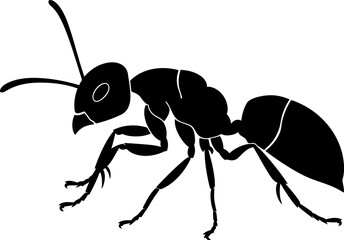 Ant silhouette in black color. Vector template design art.