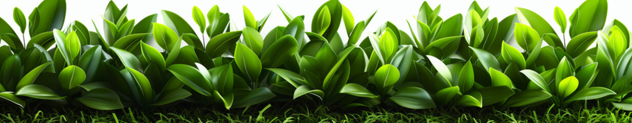 Obraz premium Exploring the Intricate Patterns and Textures in a Field of Vibrant Green Grass