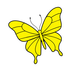 butterfly on white background