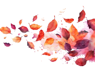Leaf’s falling in a watercolor style isolated on transparent background.