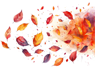 Leaf’s falling in a watercolor style isolated on transparent background.