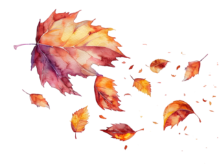 Leaf’s falling in a watercolor style isolated on transparent background.