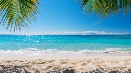  Tropical beach. Summer vacation on a tropical island with beautiful beach and palm trees. Tropical Maldives.