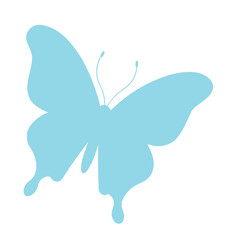 butterfly silhouette isolated on white