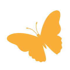 butterfly silhouette isolated on white