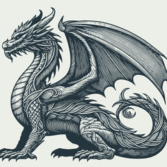 dragon illustration with engraving style