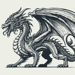 dragon illustration with engraving style