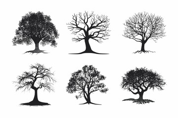 Fototapeta premium Silhouette tree set. Side view, set of graphic trees elements outline symbol for architecture and landscape design drawing. Vector illustration 