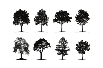 Silhouette tree set. Side view, set of graphic trees elements outline symbol for architecture and landscape design drawing. Vector illustration	
