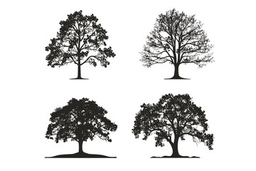 Silhouette tree set. Side view, set of graphic trees elements outline symbol for architecture and landscape design drawing. Vector illustration	