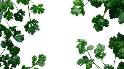 Several green leaves are suspended mid-air, appearing to float effortlessly