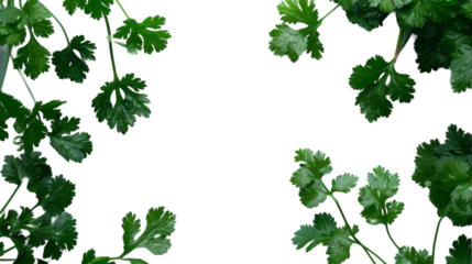 Several green leaves are suspended mid-air, appearing to float effortlessly