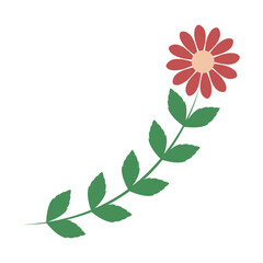 flower branch flower divider flower wreath flower Autumn branch ornament floral divider. element on transparent 