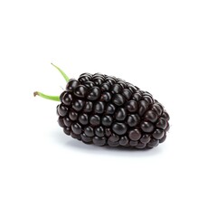 Close-up of a single fresh blackberry with green stem, isolated on white background. Perfect for culinary, health, and nature concepts.