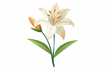 A simple beautiful lily flower vector artwork illustration 