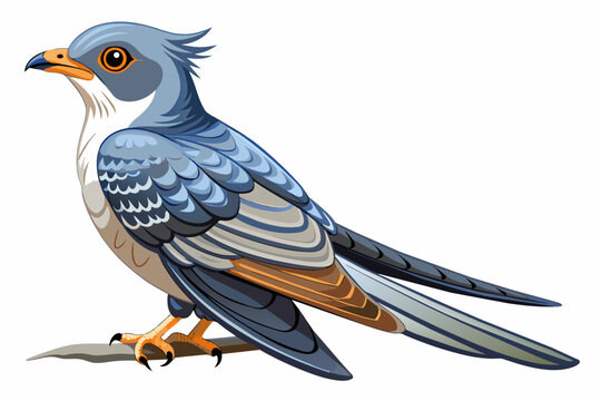  A beautiful cuckoo bird vector image artwork illustration 