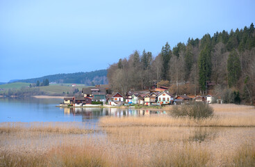 Port Titi l'hiver