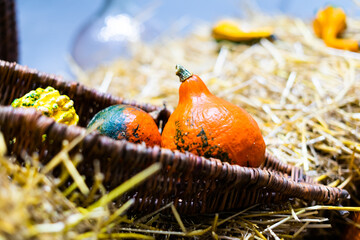 Ripe orange autumn pumpkins in wooden baskets with straw, on hay bales farmers market for Halloween.