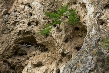 landscape and beautiful nature from the Republic of Moldova. One of the most beautiful views in the north of Moldova, Eastern Europe