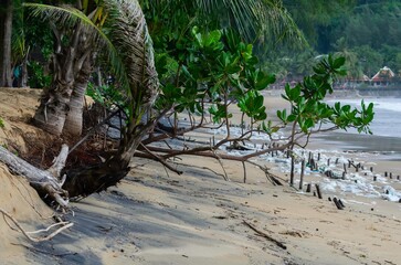 garbage on the baech pollution the shore of a tropical beach highlights the worldwide plastic...