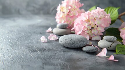 Pink hydrangea and zen stones on gray background for product presentation podium background