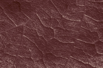 background, texture, leaves