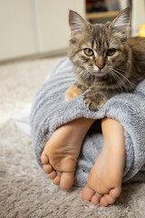brown fluffy domestic cat lies on the feet of a barefoot child, wrapped in a blanket. Good morning. gentle cozy atmosphere, friendship between kitten and child. favorite pet