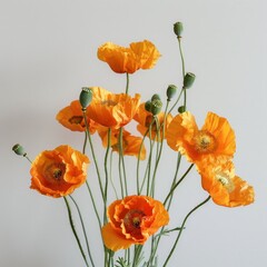 Naklejka premium A bouquet of orange poppy flowers against a plain 