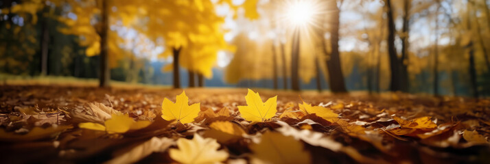 Panoramic fall nature background with carpet of orange and yellow fallen maple leaves. Autumn landscape with blurred defocused park in the background. Ultra-wide banner format - Powered by Adobe