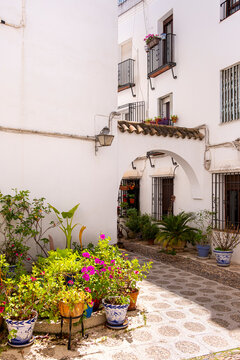A quintessential Andalusian courtyard with potted flowers and tiled pavement in Cordoba, Spain, beckons in the spring season