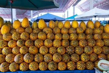 Yellow melons neatly lined up for sale at the grocery store. Summer harvest sweet yellow melon.