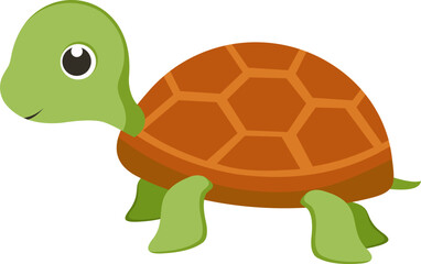 Turtle Illustration