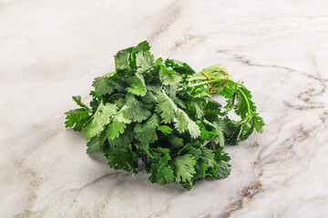 Fresh green cilantro branches heap