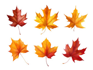 Fototapeta premium Set of five different orange leaves in autumn isolated on transparent background.