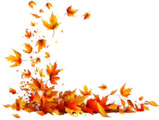 Leaf’s falling in a watercolor style isolated on transparent background.