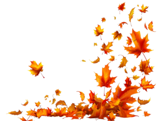 Leaf’s falling in a watercolor style isolated on transparent background.