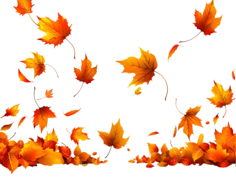 Leaf’s falling in a watercolor style isolated on transparent background. - Powered by Adobe