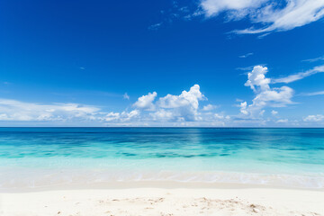 Fototapeta premium Sunny Beach with Blue Sky and Ocean View