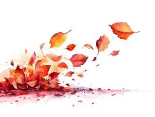 isolated on transparent background.