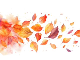 isolated on transparent background.