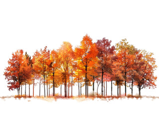 Fototapeta premium Small autumn tree forest isolated on transparent background.